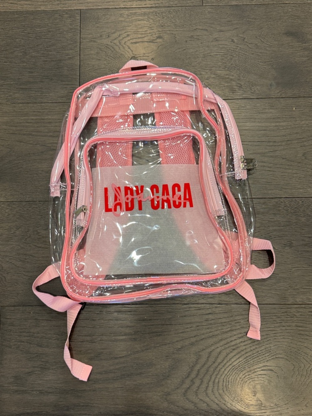 Clear Pink PVC Backpack with Red Logo